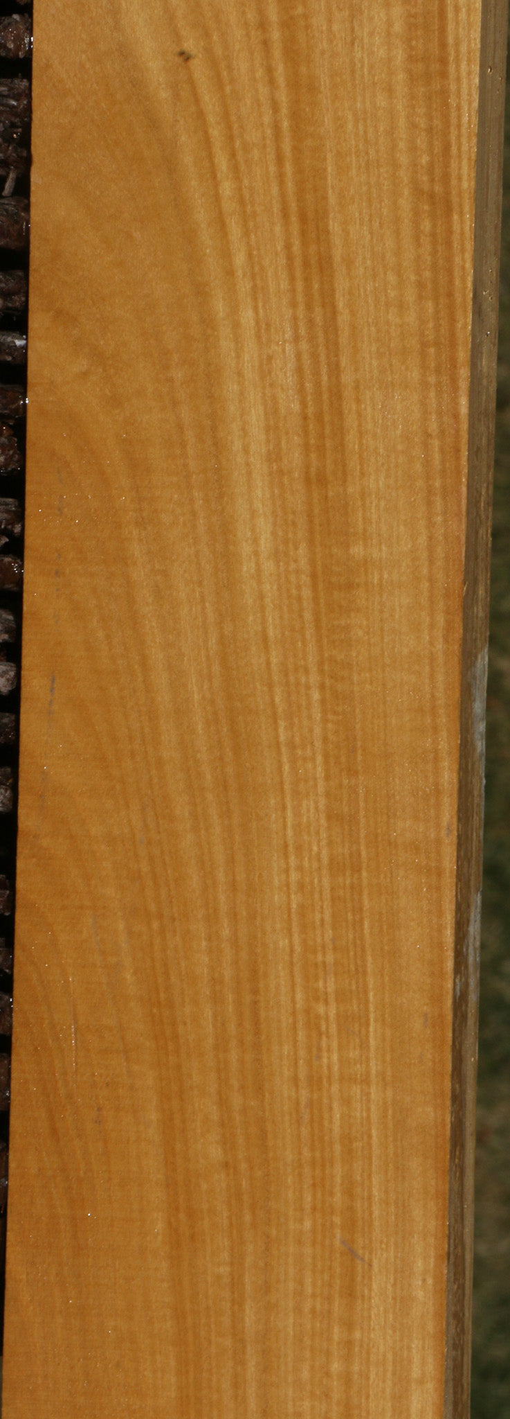 Figured Ceylon Satinwood Lumber