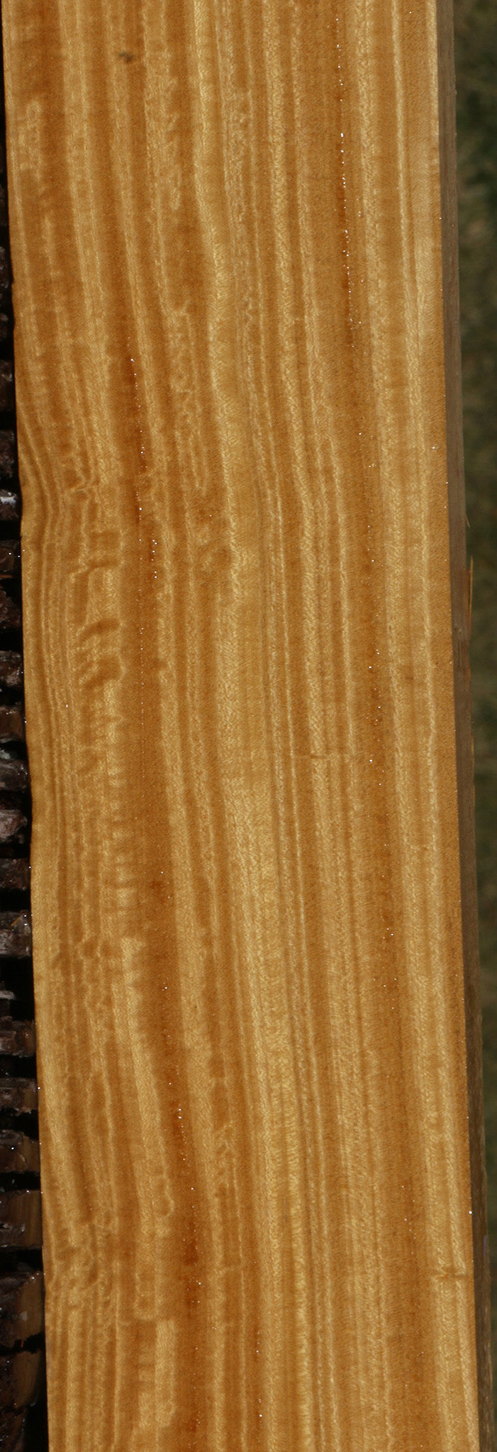Extra Fancy Ceylon Satinwood Lumber