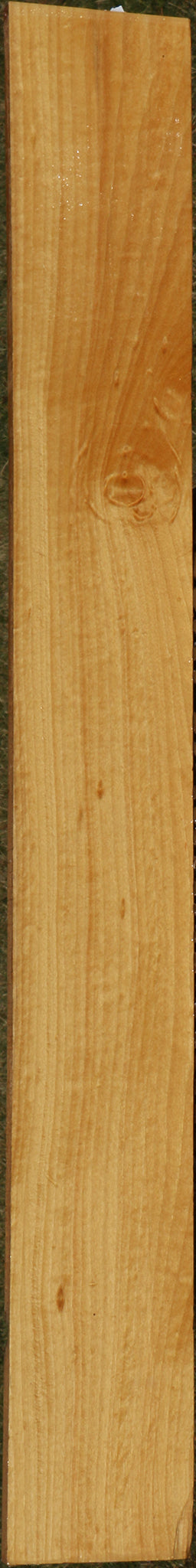 Figured Ceylon Satinwood Micro Lumber
