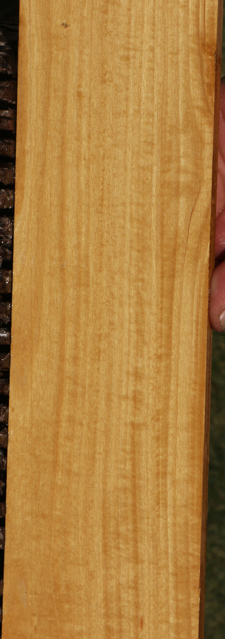 Figured Ceylon Satinwood Micro Lumber