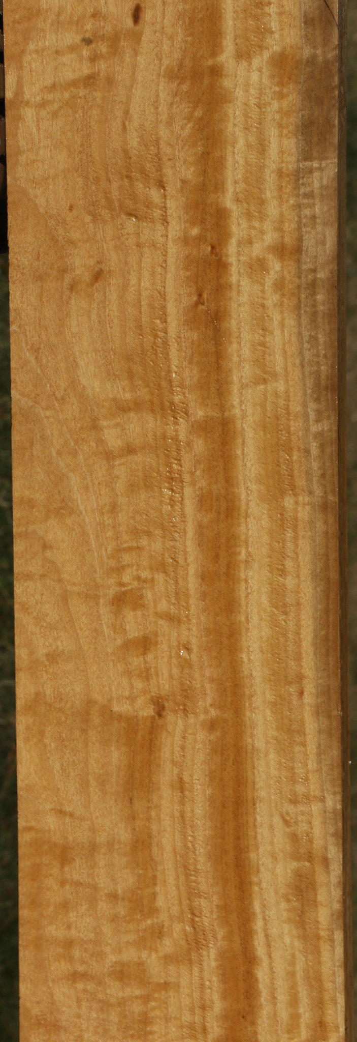 Extra Fancy Ceylon Satinwood Micro Lumber