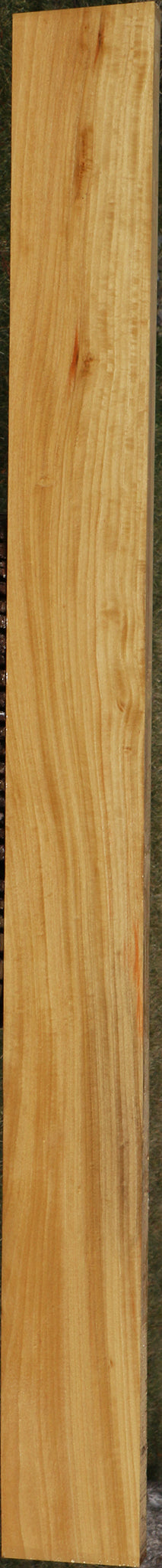 Figured Ceylon Satinwood Lumber