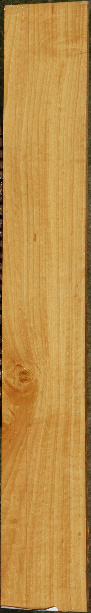 Figured Ceylon Satinwood Micro Lumber