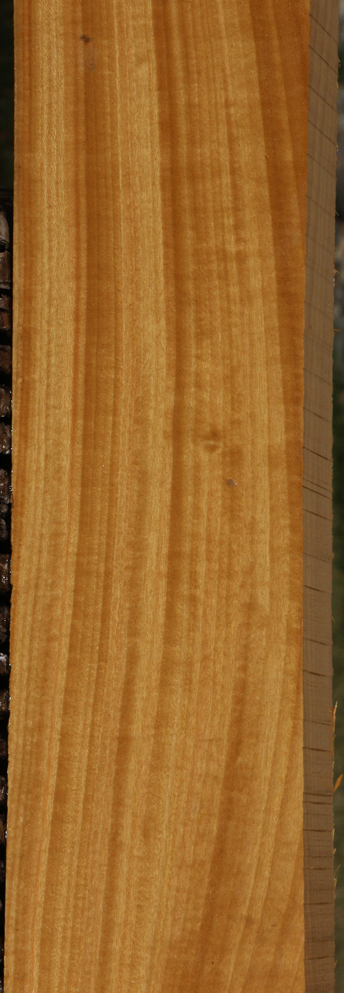 Figured Ceylon Satinwood Lumber
