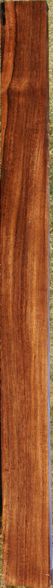 Indian Laurel Lumber