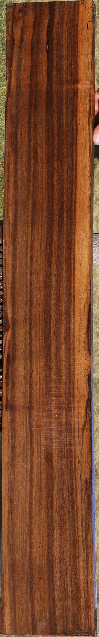 Quartersawn Indian Laurel Lumber