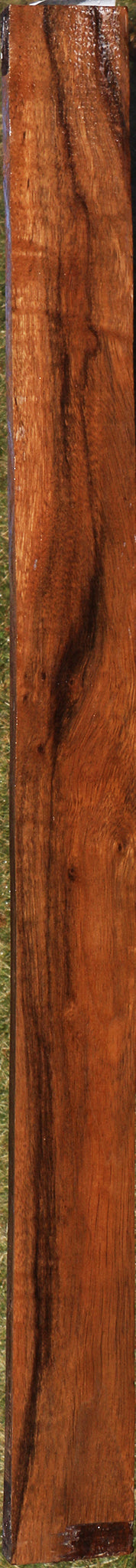 Figured Indian Laurel Lumber
