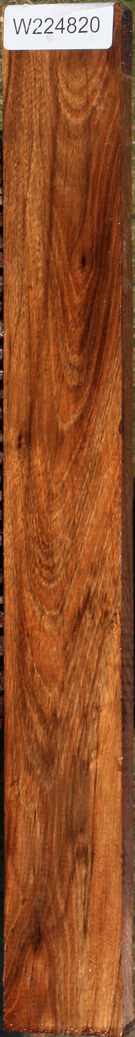 Indian Laurel Lumber
