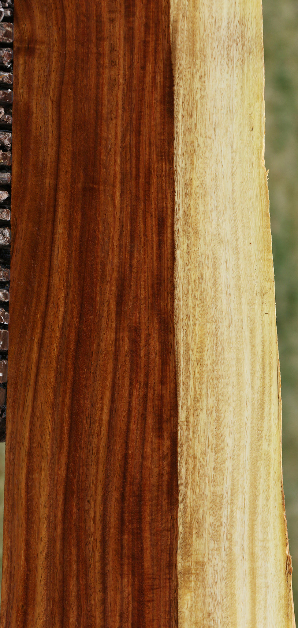 Figured East Indian Rosewood Live Edge Lumber