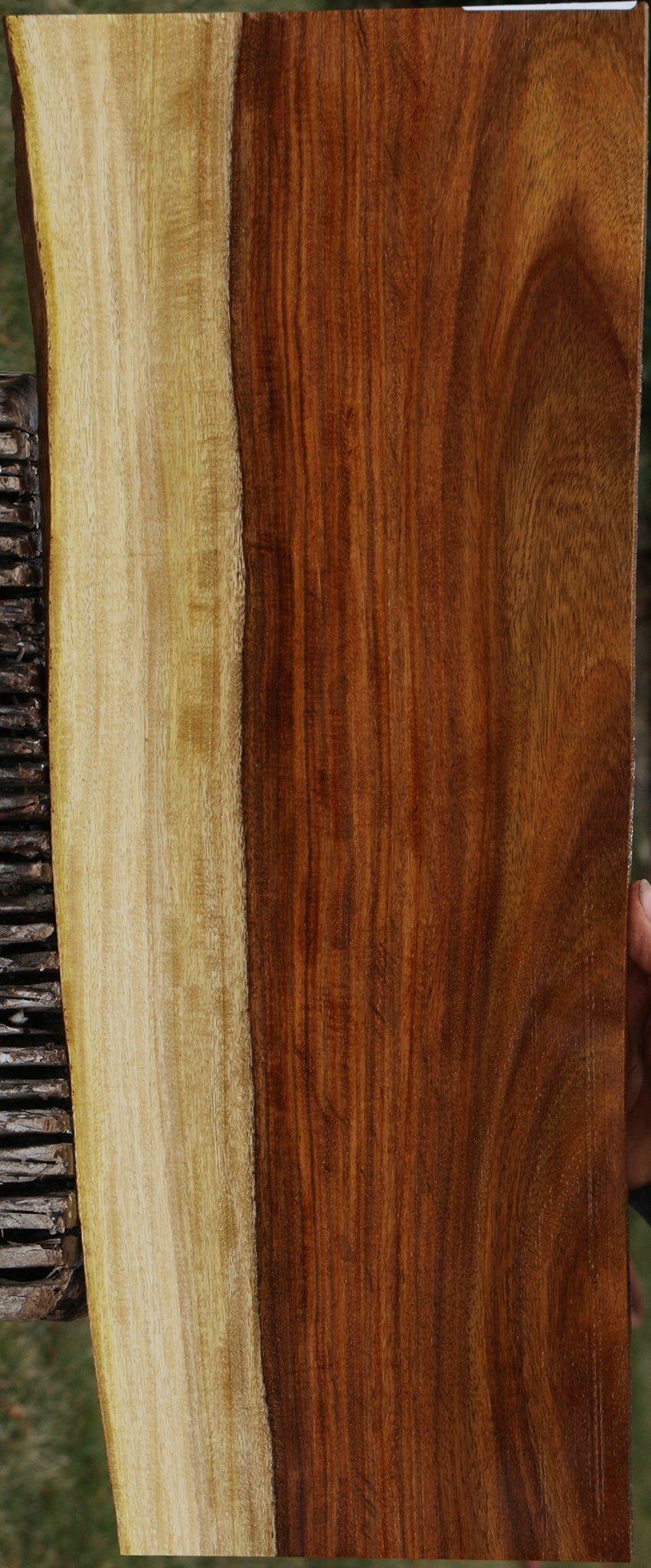 Extra Fancy East Indian Rosewood Live Edge Micro Lumber