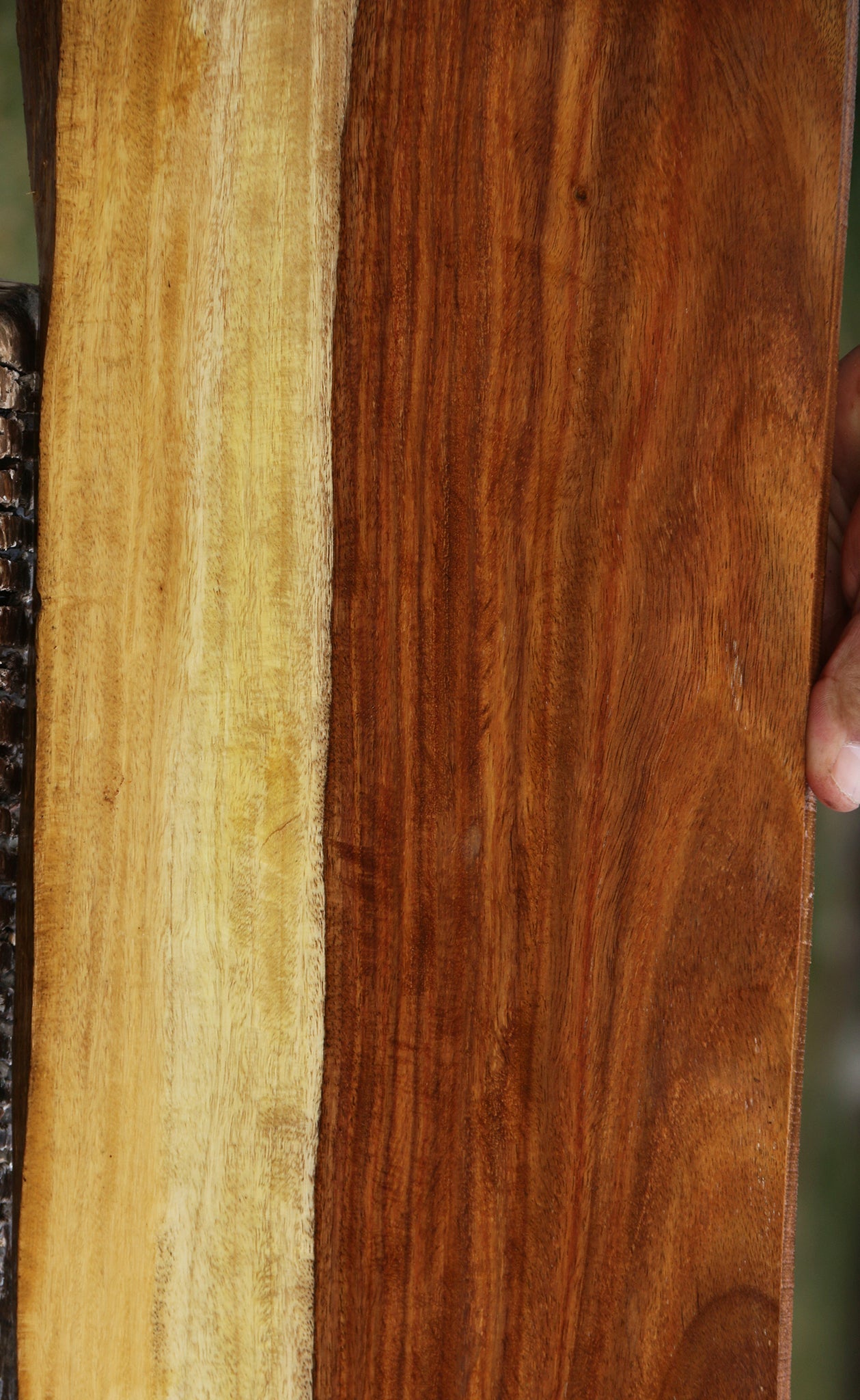 Figured East Indian Rosewood Live Edge Instrument Lumber