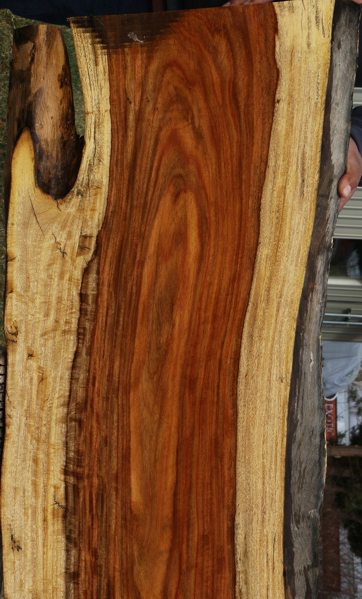 Figured Rustic East Indian Rosewood Live Edge Lumber