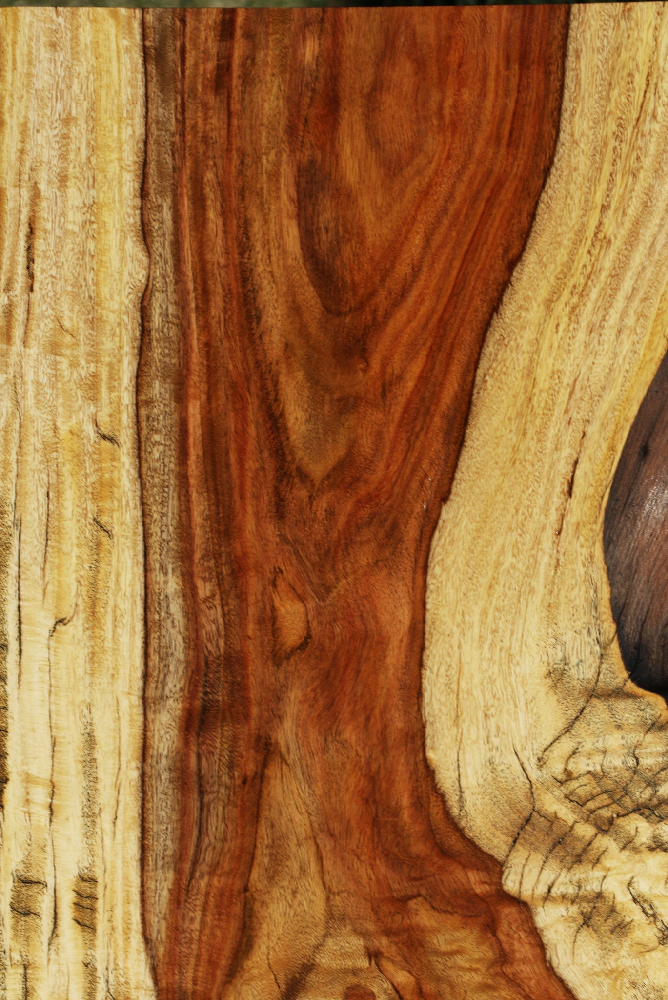 Extra Fancy Rustic East Indian Rosewood Live Edge Lumber