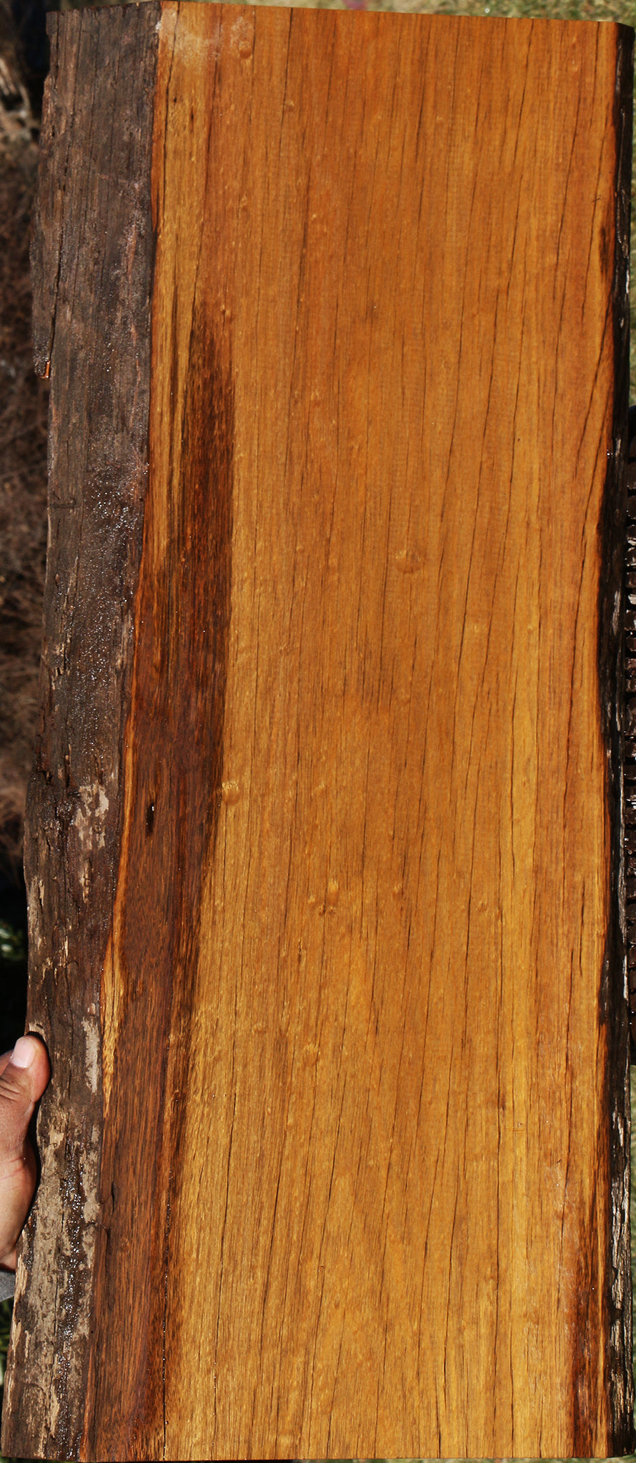 Ipe Live Edge Lumber