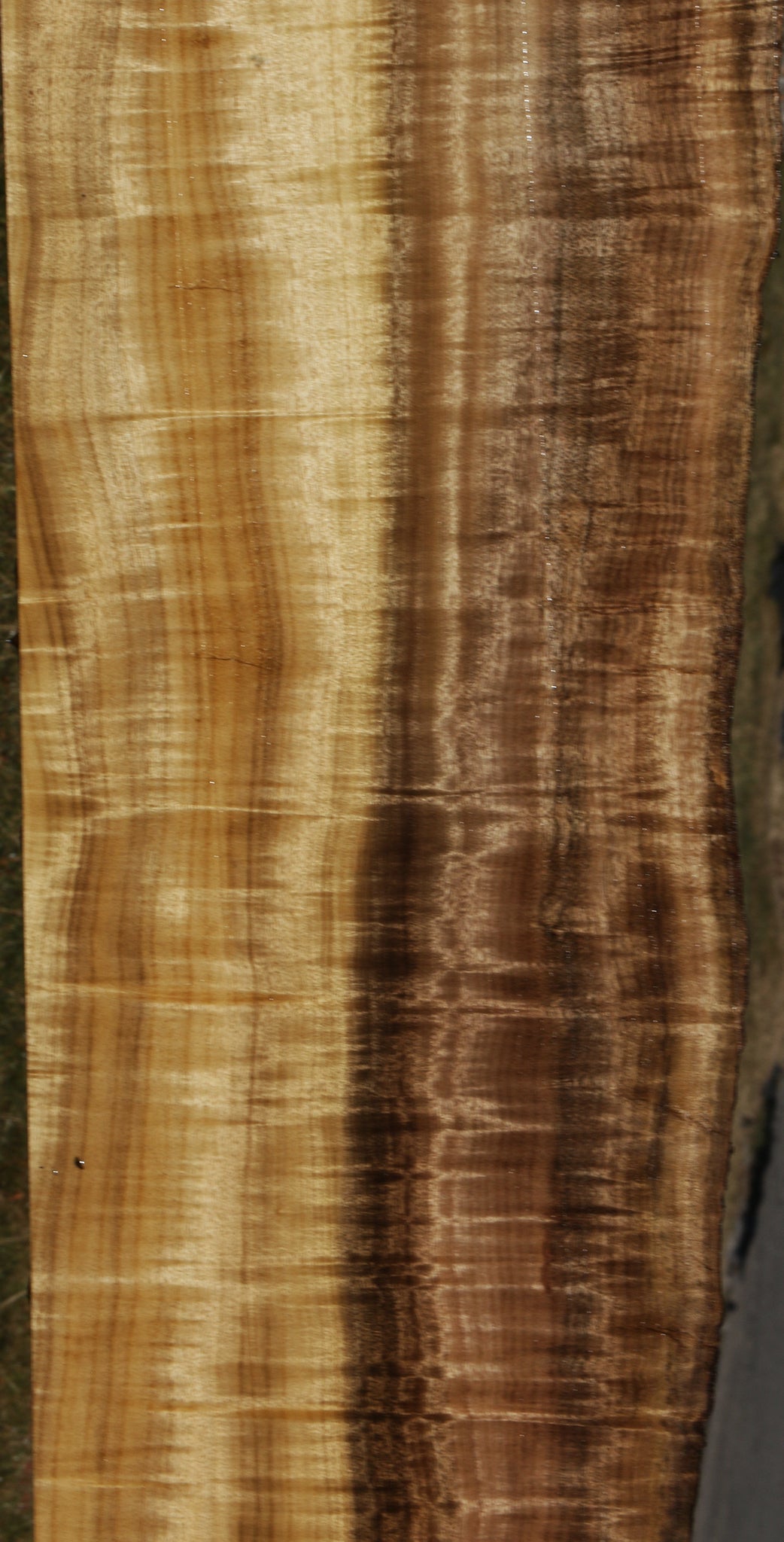 Extra Fancy Myrtle Live Edge Lumber