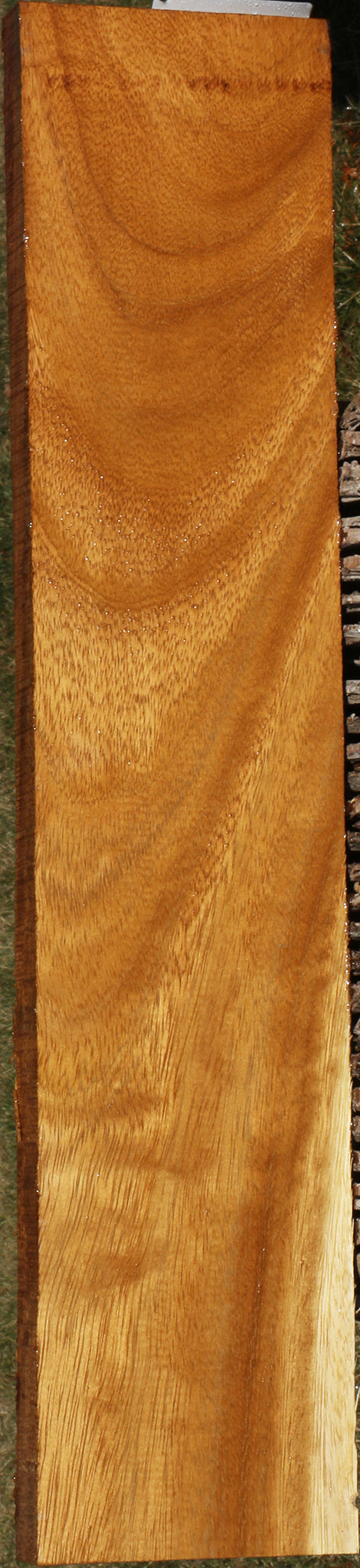 African Teak Lumber
