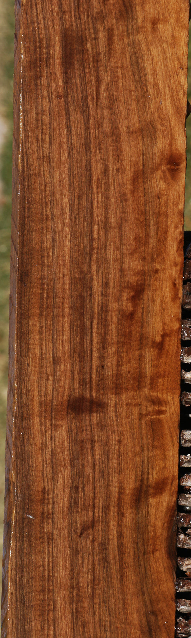 Extra Fancy Mansonia Lumber