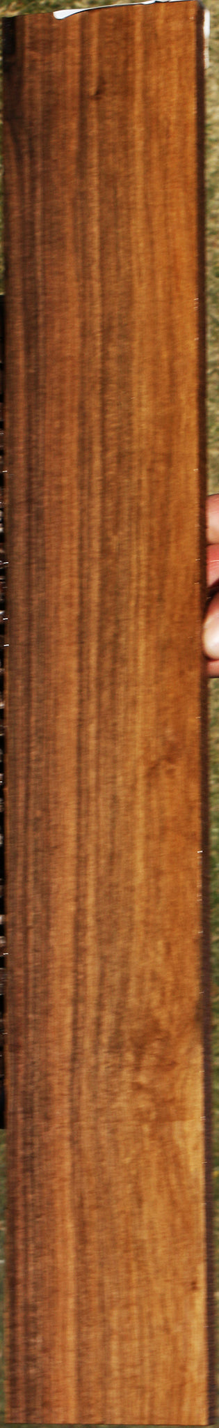 Figured Mansonia Lumber