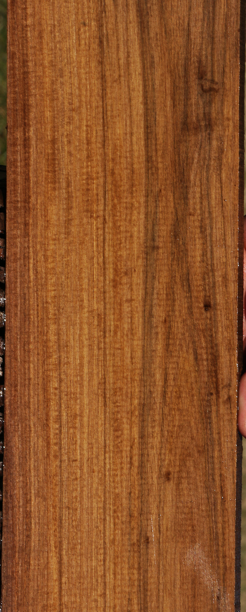 Figured Mansonia Lumber