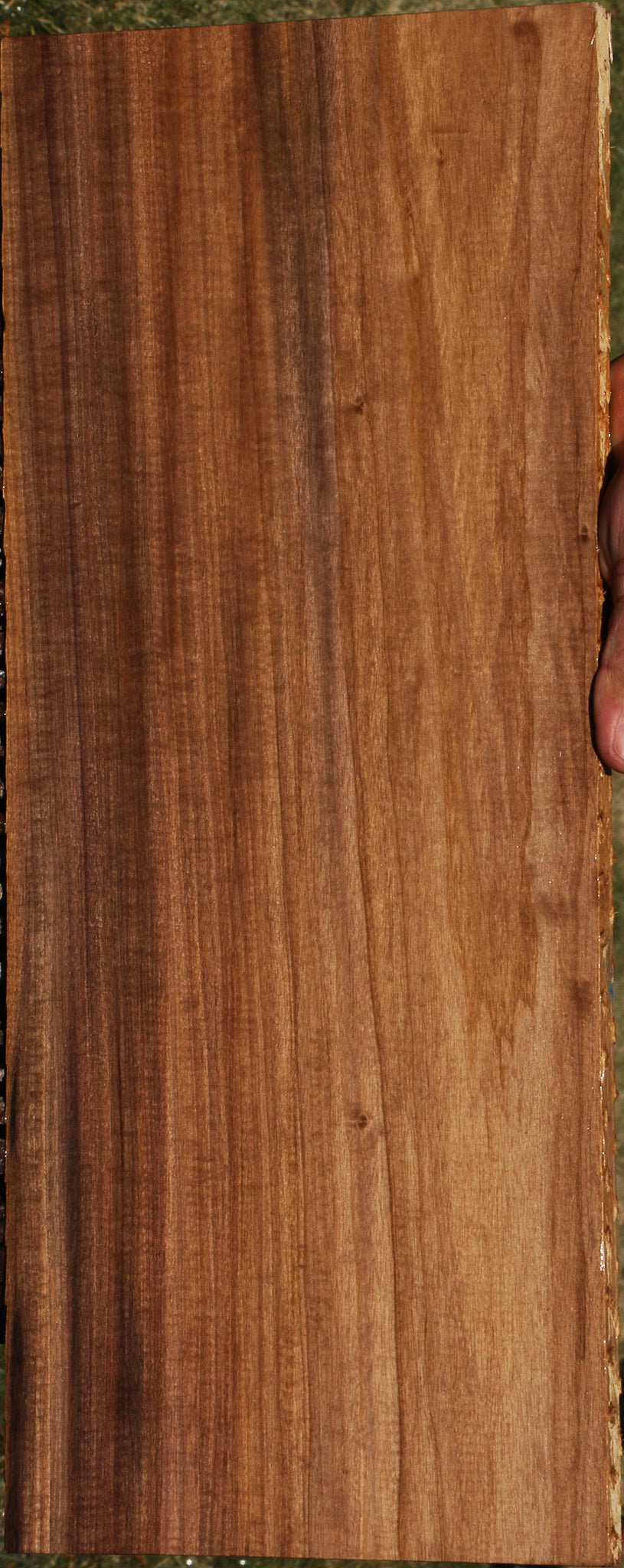 Extra Fancy Mansonia Lumber