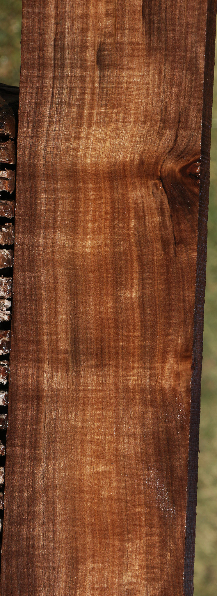 Extra Fancy Mansonia Lumber