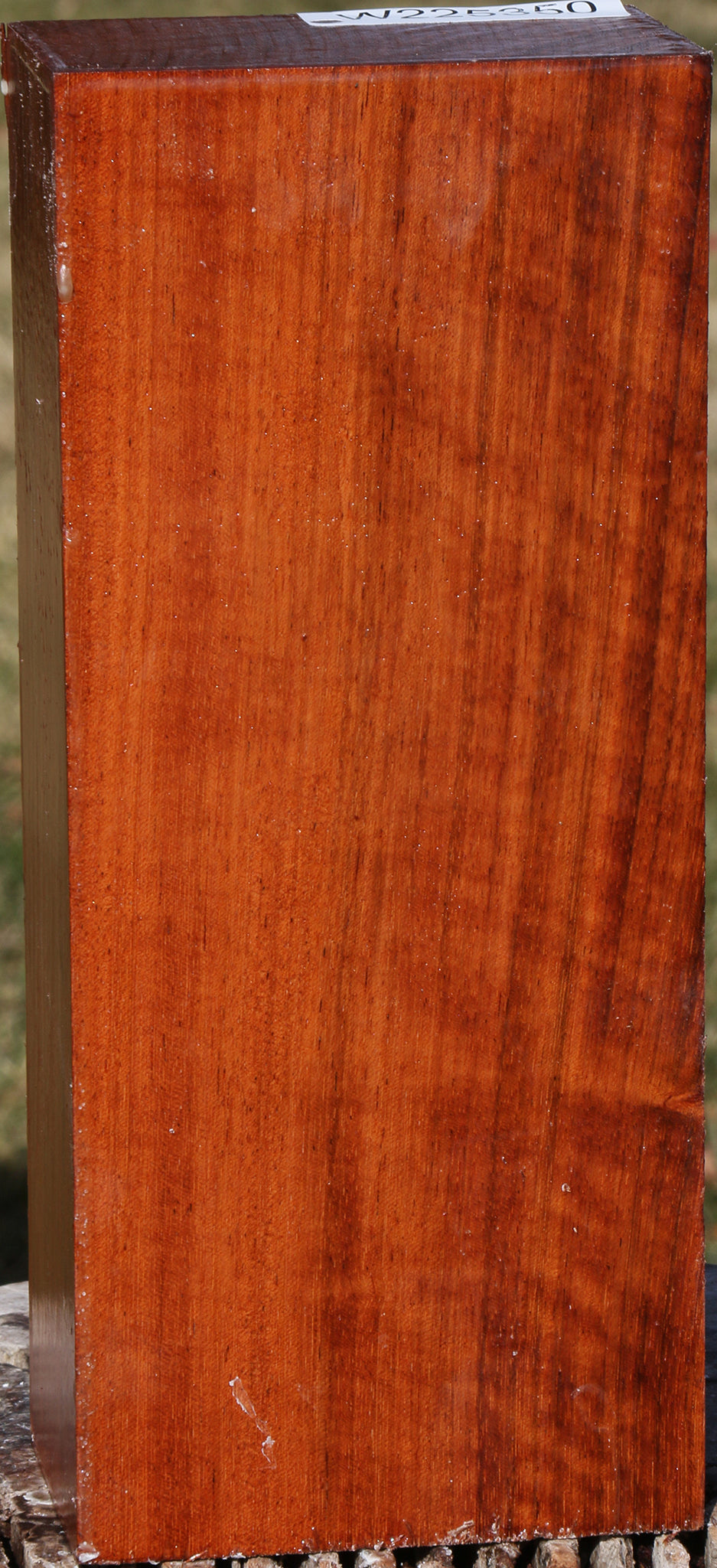 Brazilian Cherry Turning Blank