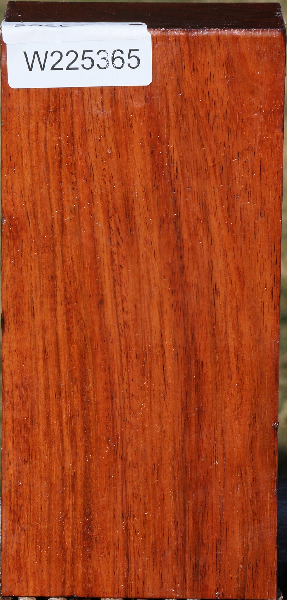 Brazilian Cherry Turning Blank
