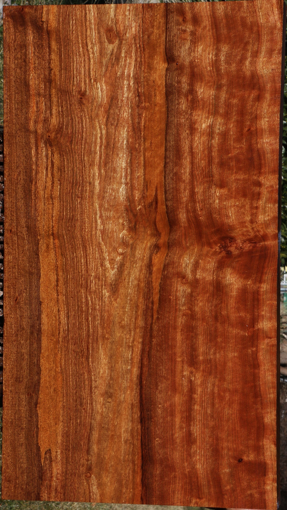 Extra Fancy Chechen Lumber