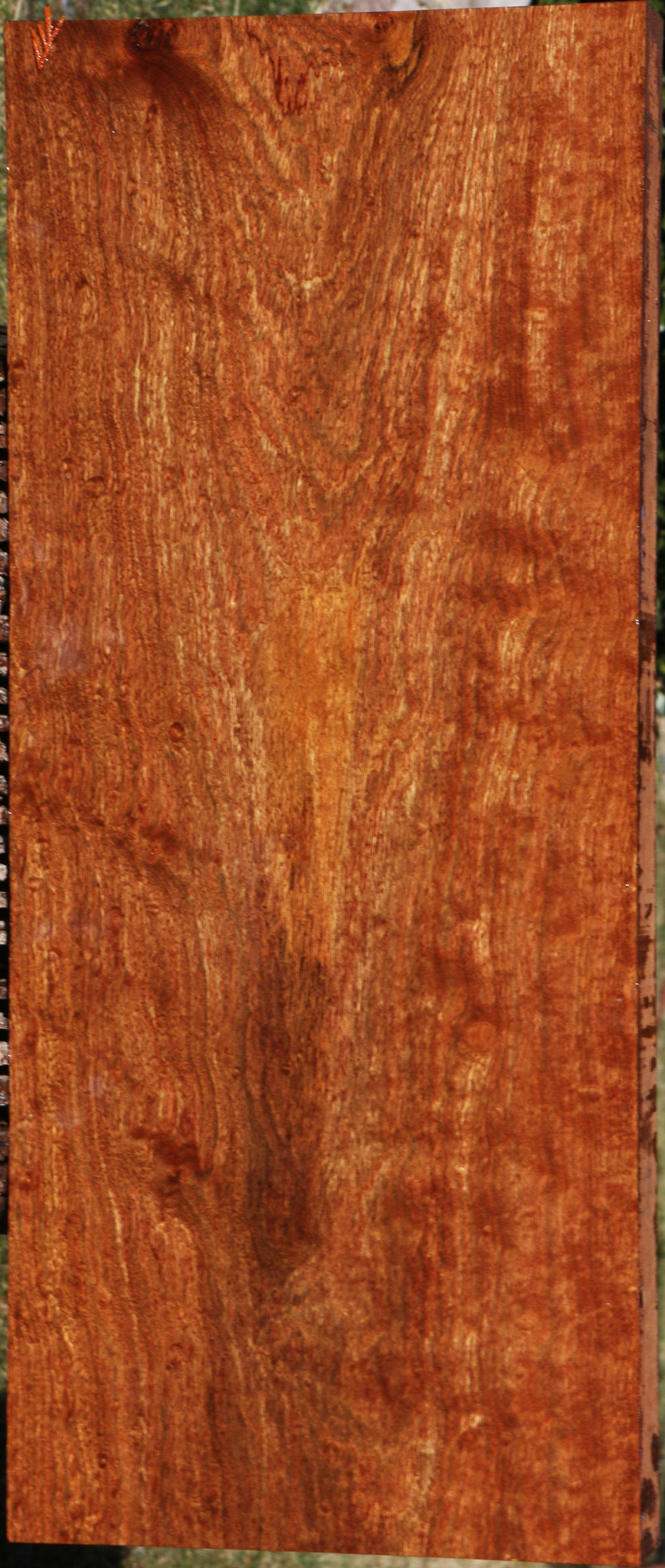 Extra Fancy Chechen Instrument Lumber