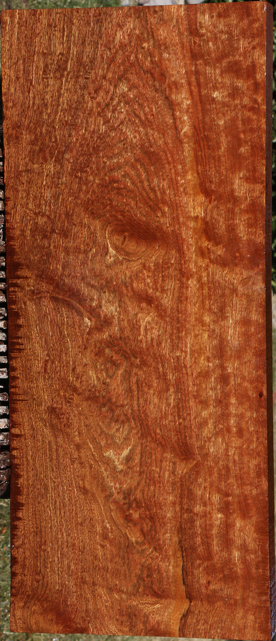 Exhibition Chechen Instrument Lumber