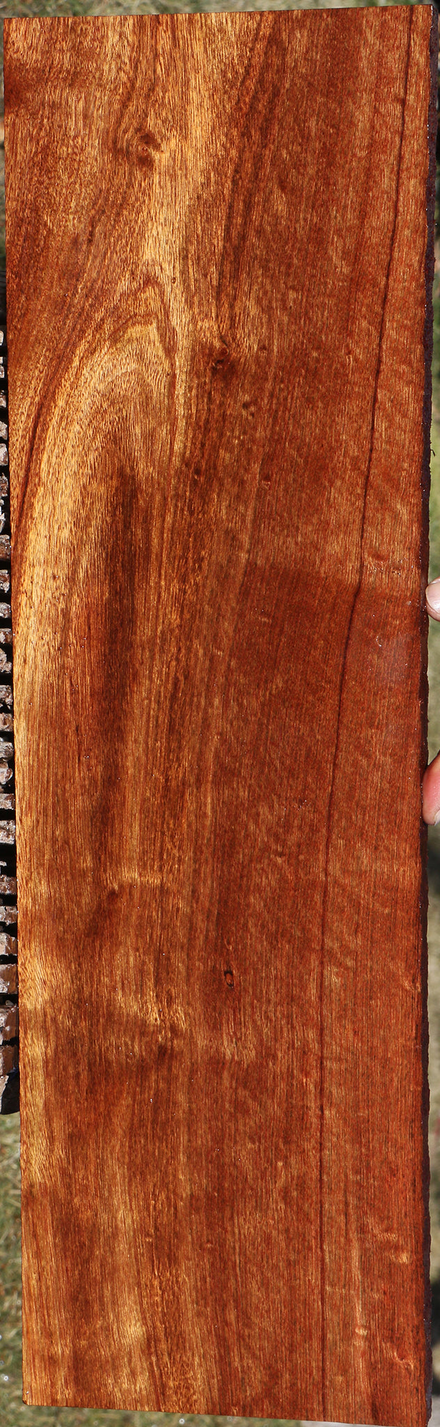 Figured Chechen Lumber