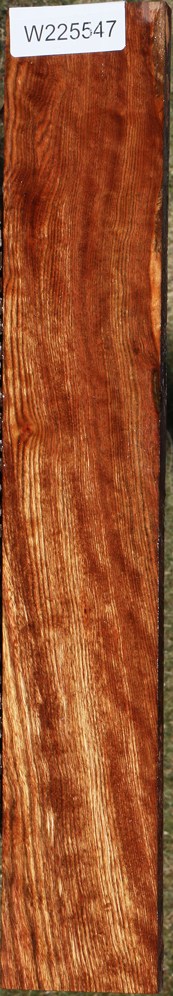 Extra Fancy Chechen Lumber