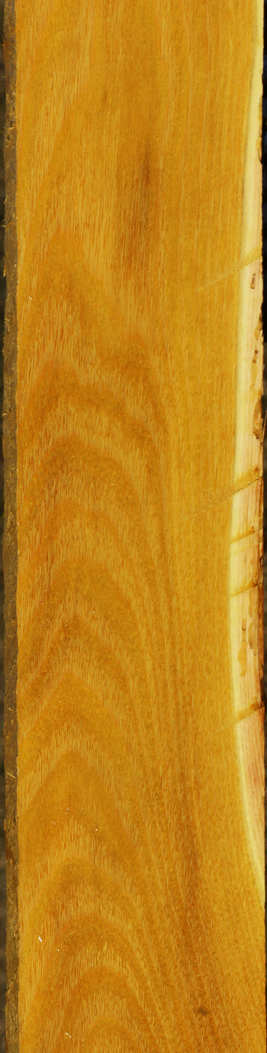 Osage Orange Lumber
