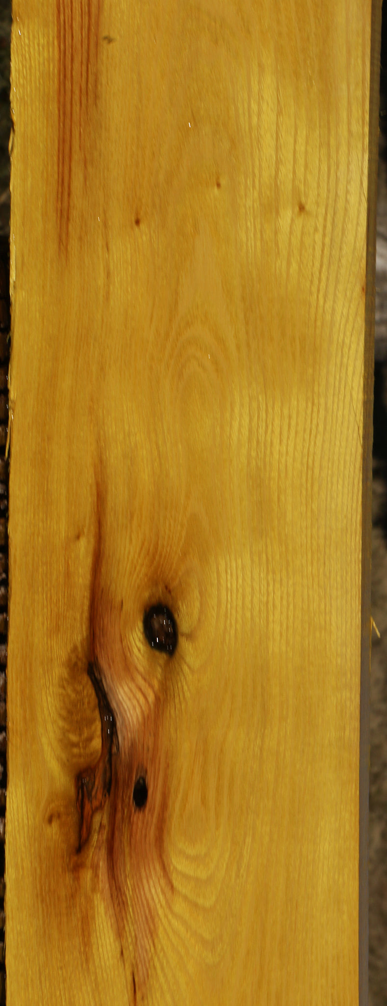 Osage Orange Lumber