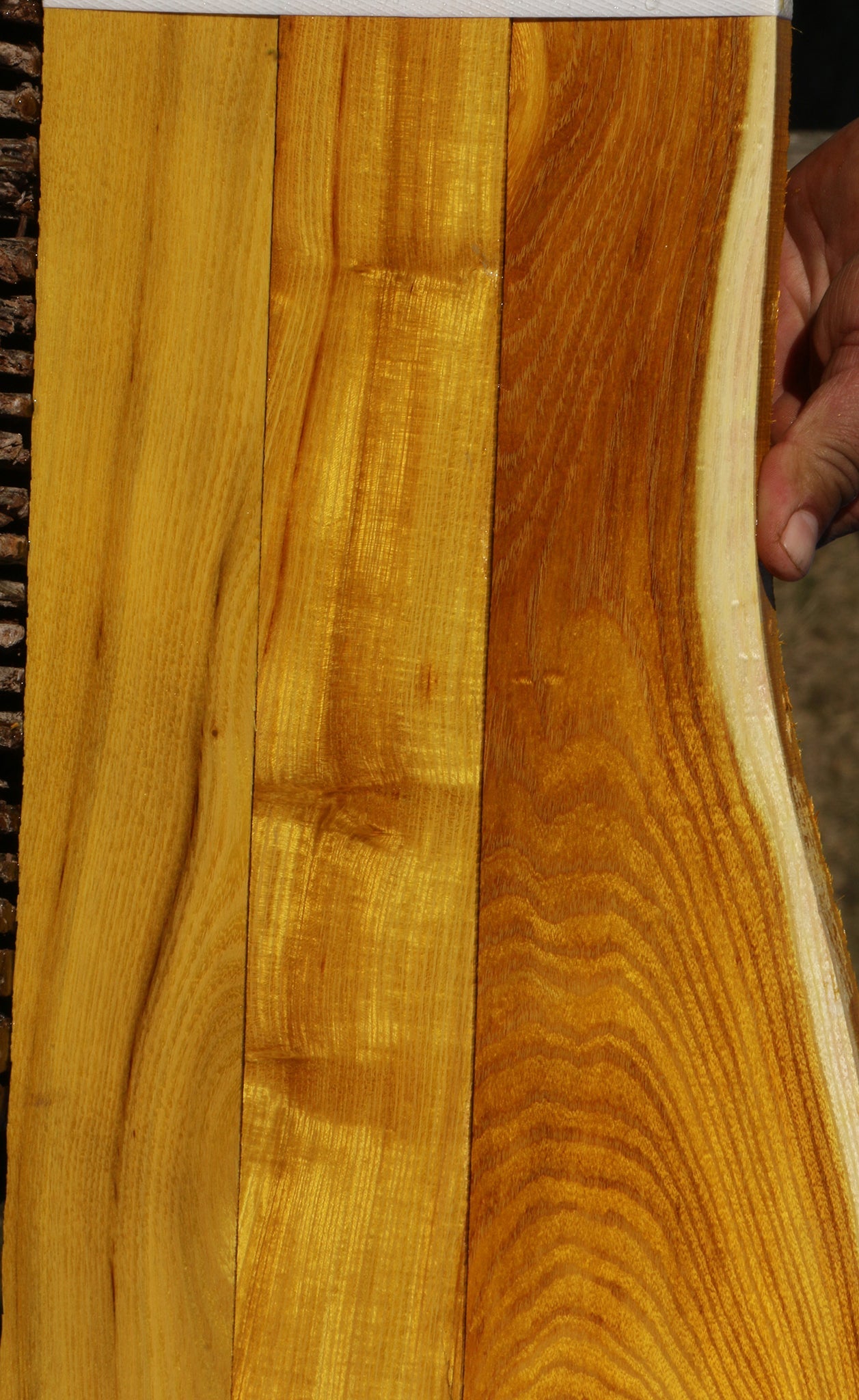 Osage Orange Lumber 3 Pack