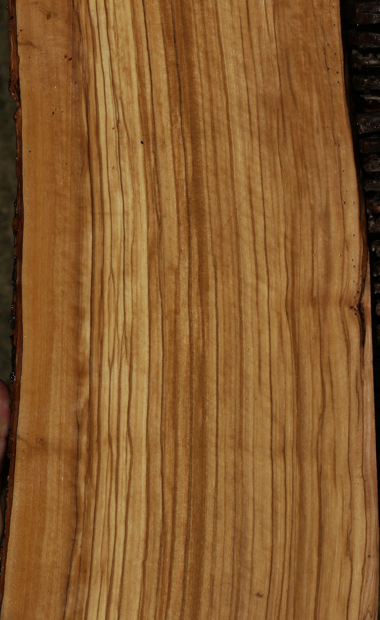 Figured Italian Olive Live Edge Lumber