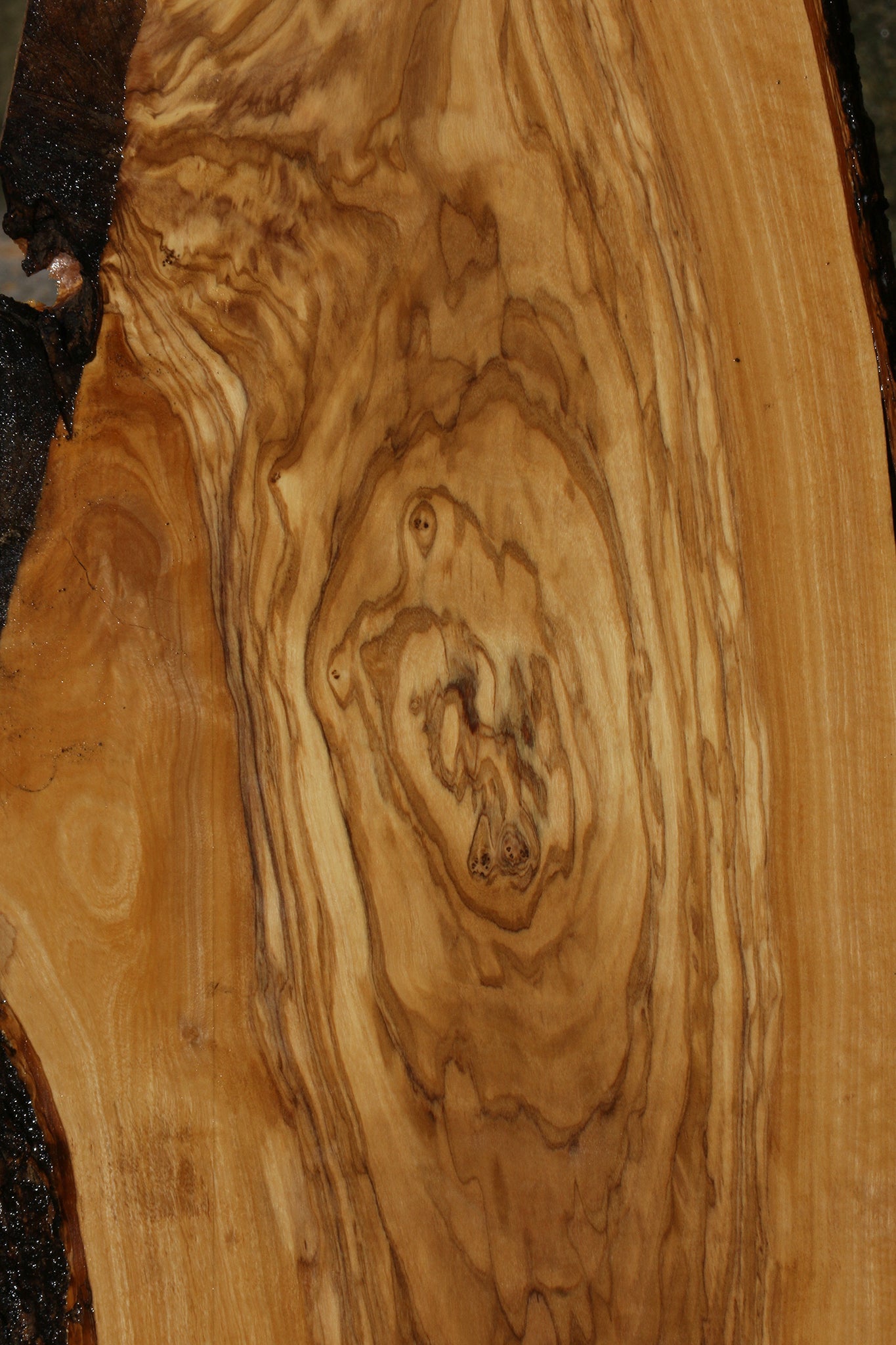 Extra Fancy Italian Olive Live Edge Lumber