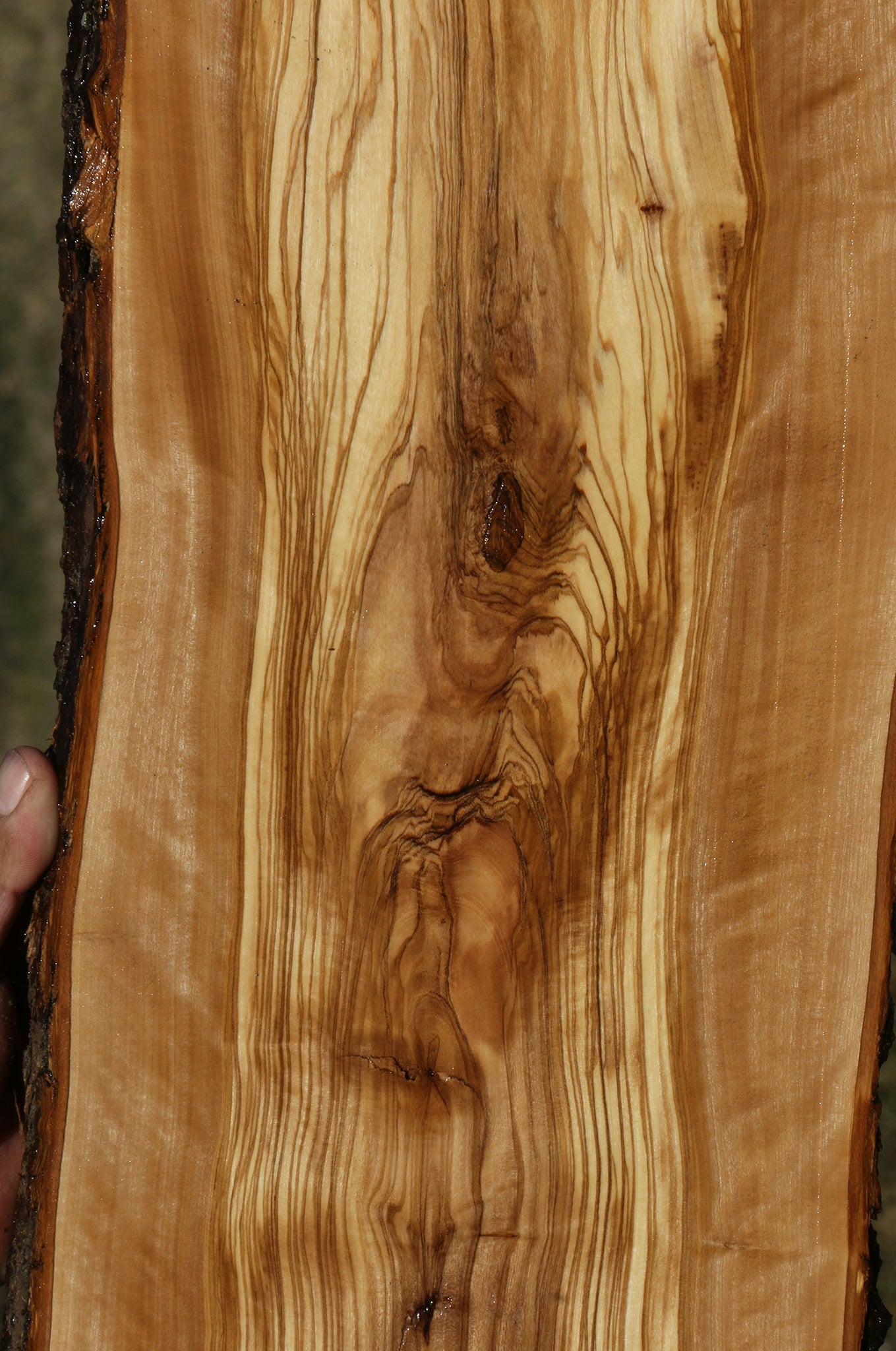 Extra Fancy Italian Olive Live Edge Lumber