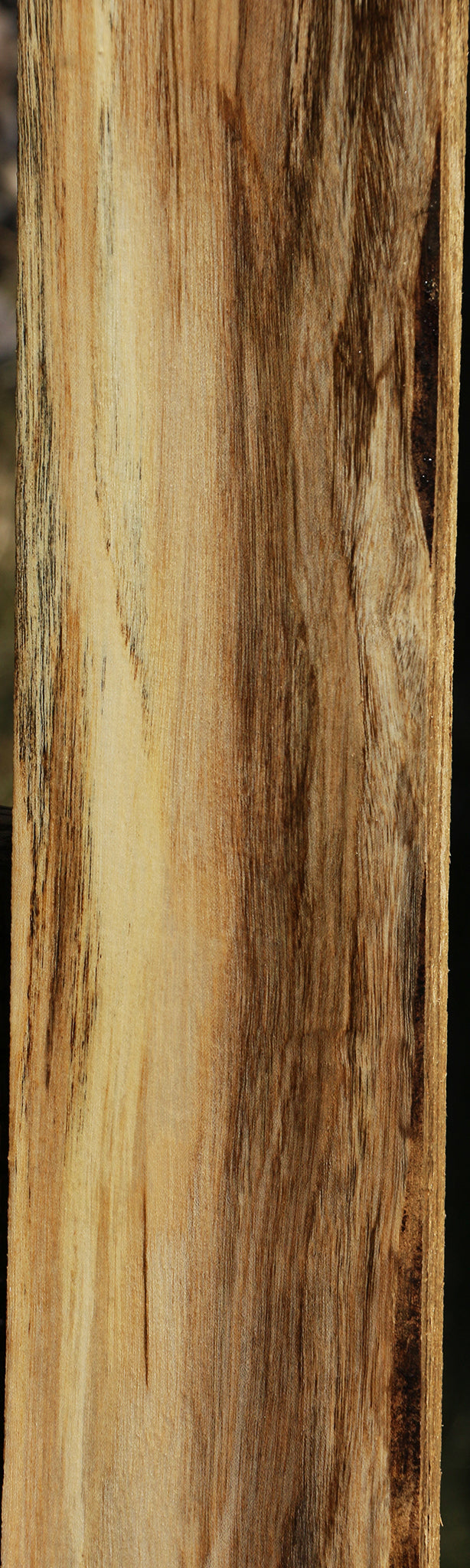 Figured Spalted Hackberry Lumber