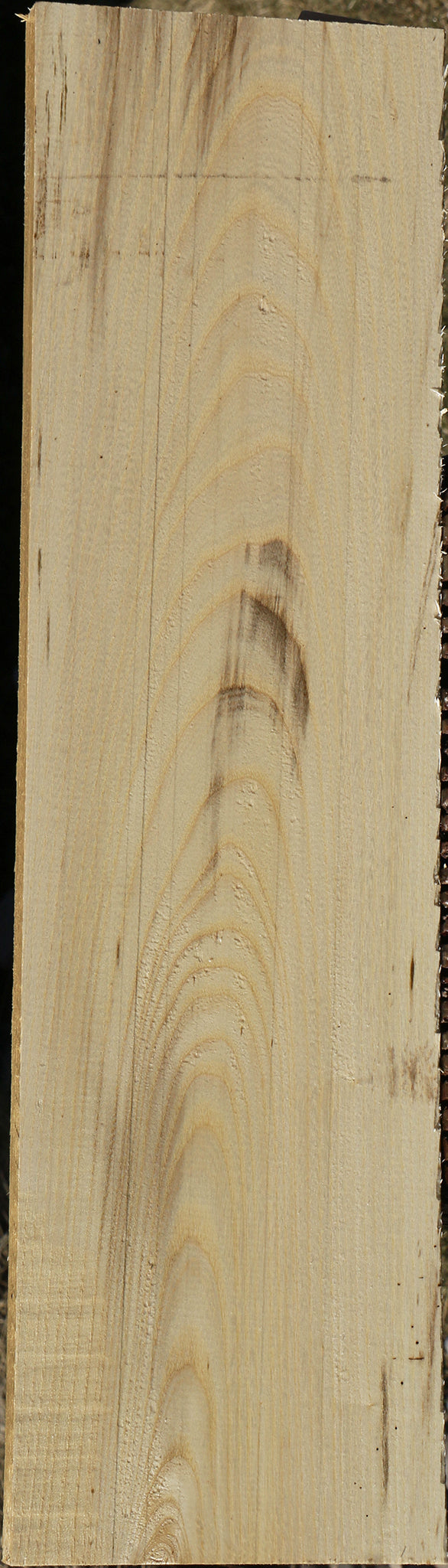 Spalted Hackberry Lumber