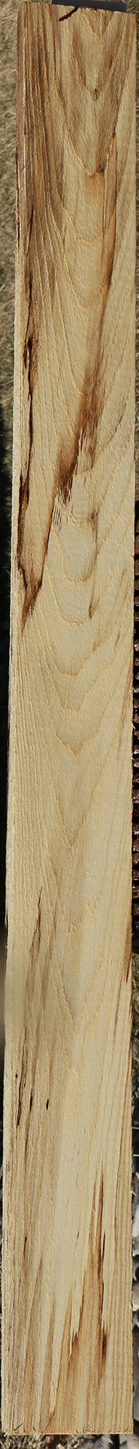 Extra Fancy Spalted Hackberry Lumber