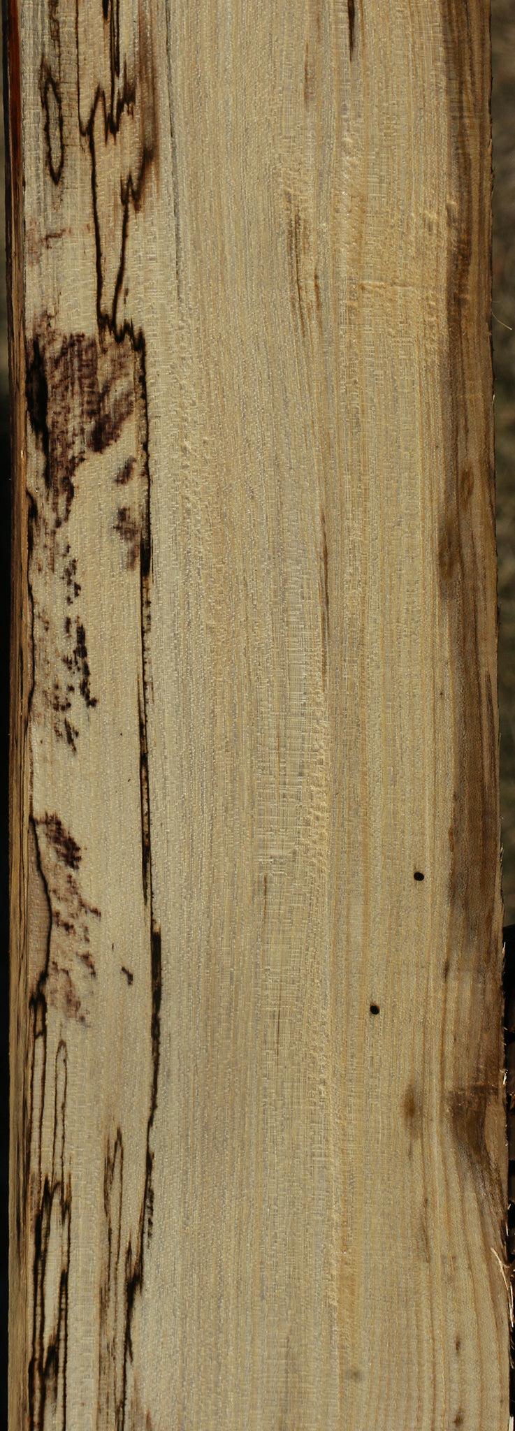 Figured Spalted Hackberry Lumber