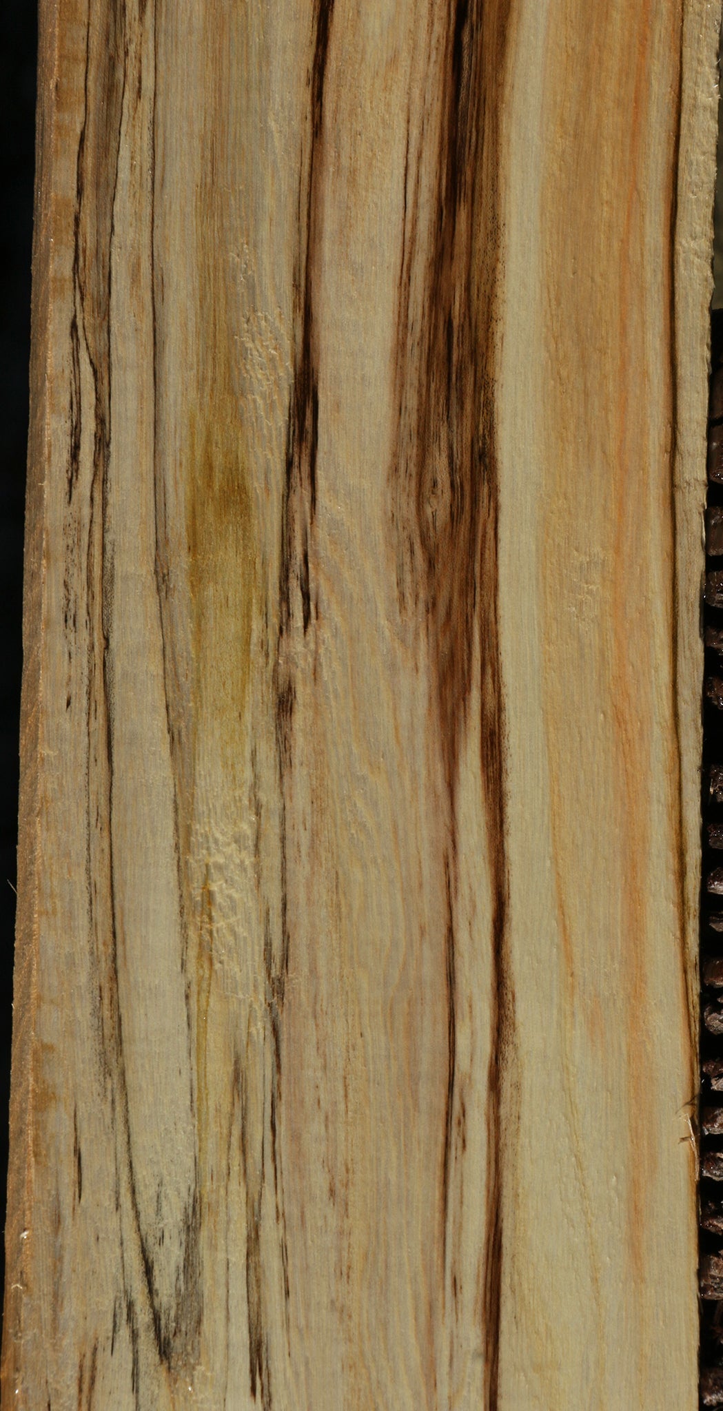 Figured Spalted Hackberry Lumber