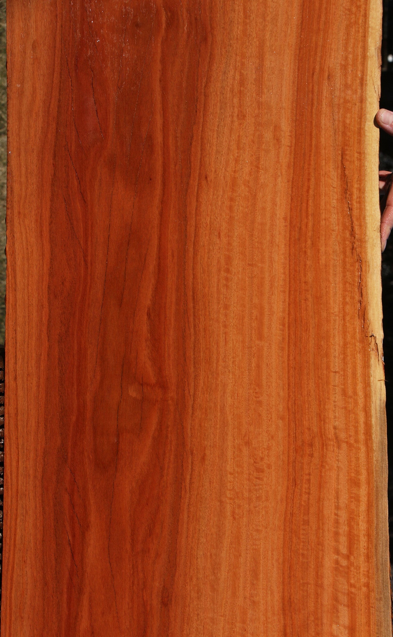 Figured Red Ironbark Live Edge Lumber