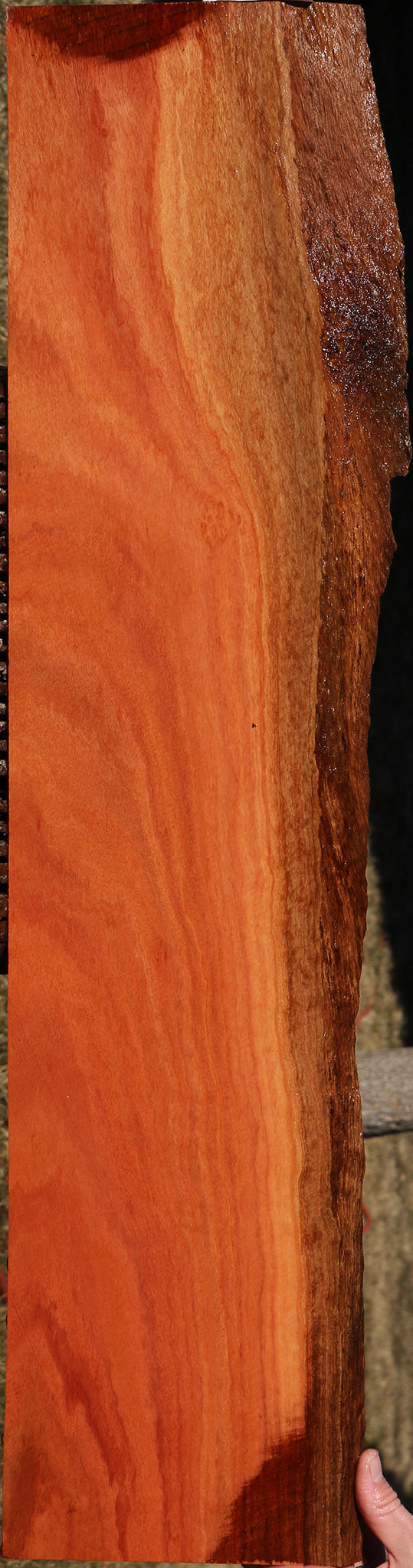 Extra Fancy Red Ironbark Live Edge Lumber