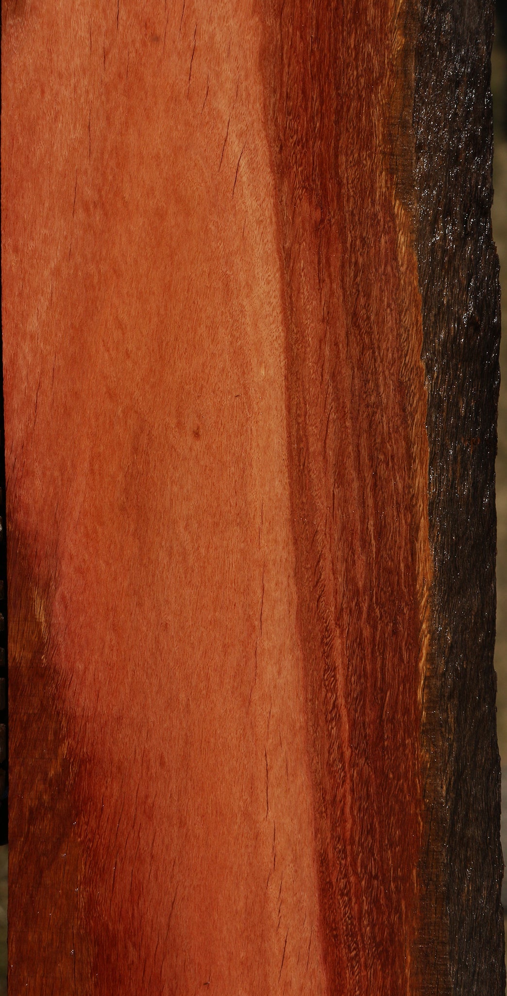 Figured Rustic Red Ironbark Live Edge Lumber