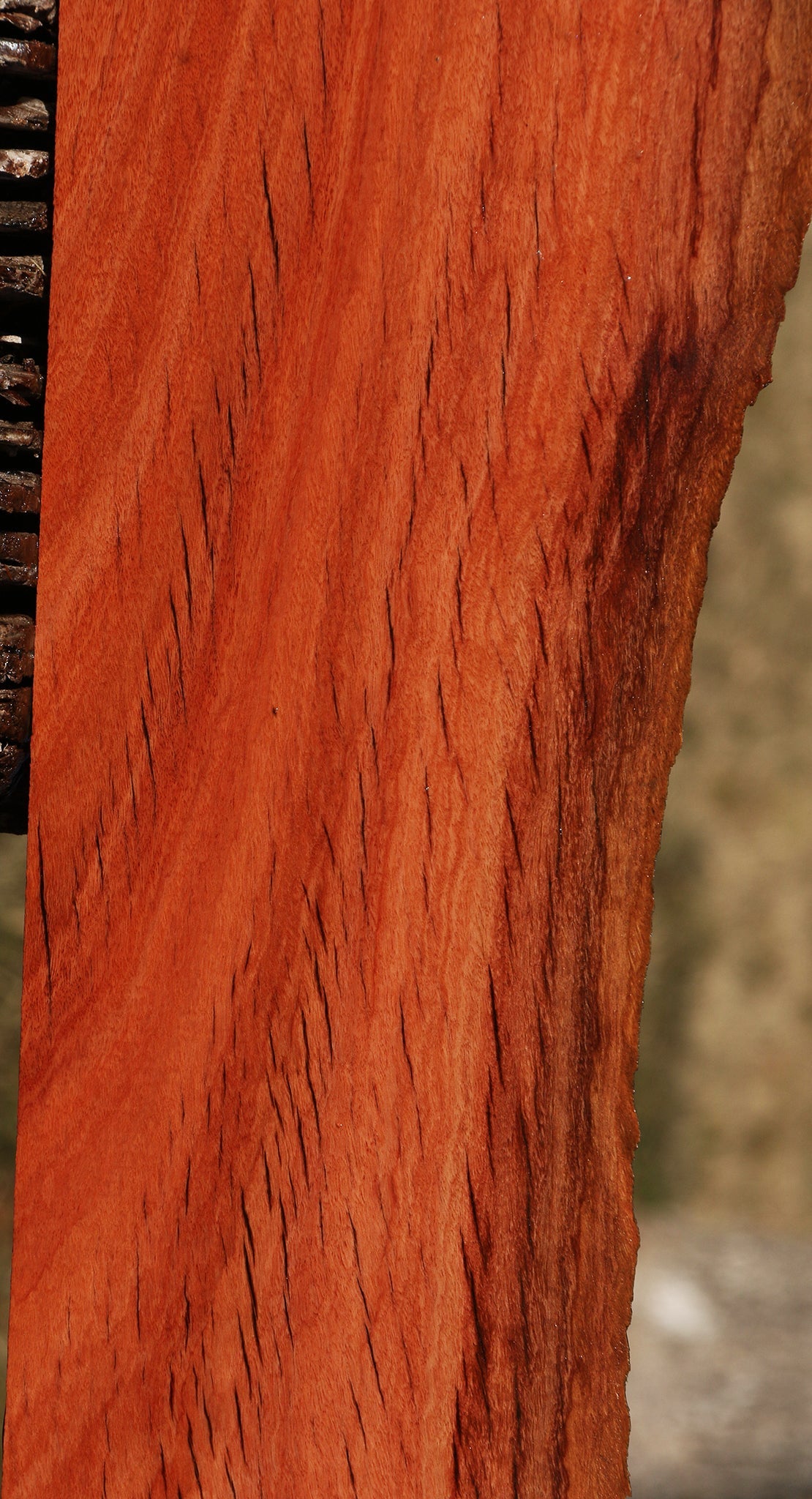 Rustic Red Ironbark Live Edge Lumber