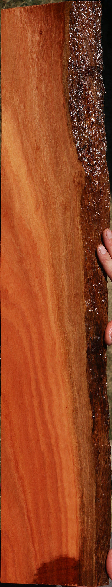Extra Fancy Red Ironbark Live Edge Lumber