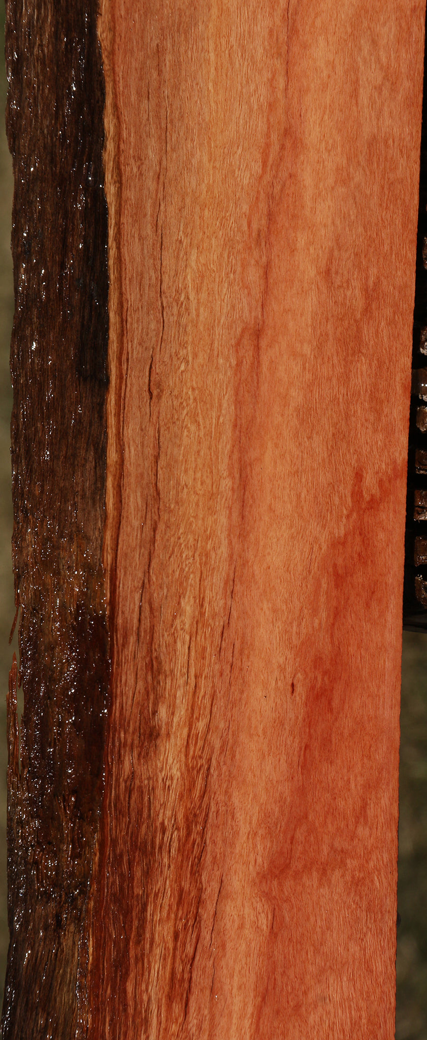 Figured Red Ironbark Live Edge Lumber