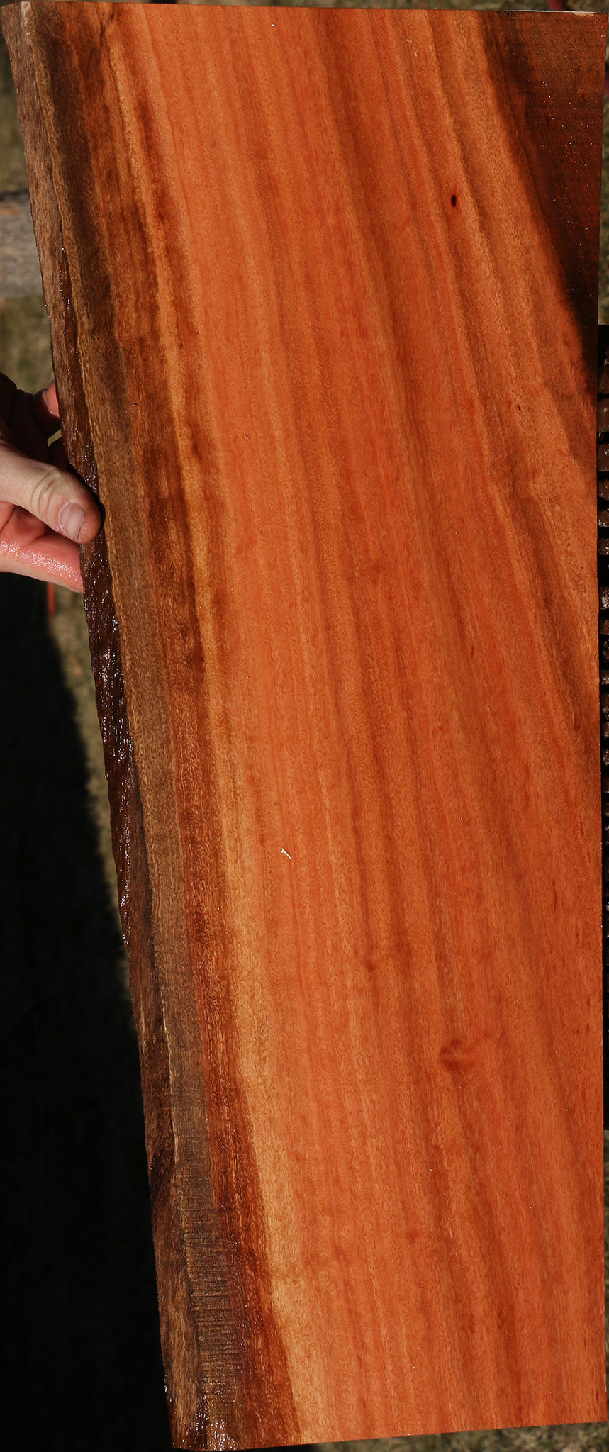 Figured Red Ironbark Live Edge Lumber